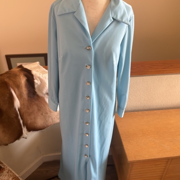 Vintage Union made size 14 maxi dress with super cool rhinestone buttons - Picture 6 of 14